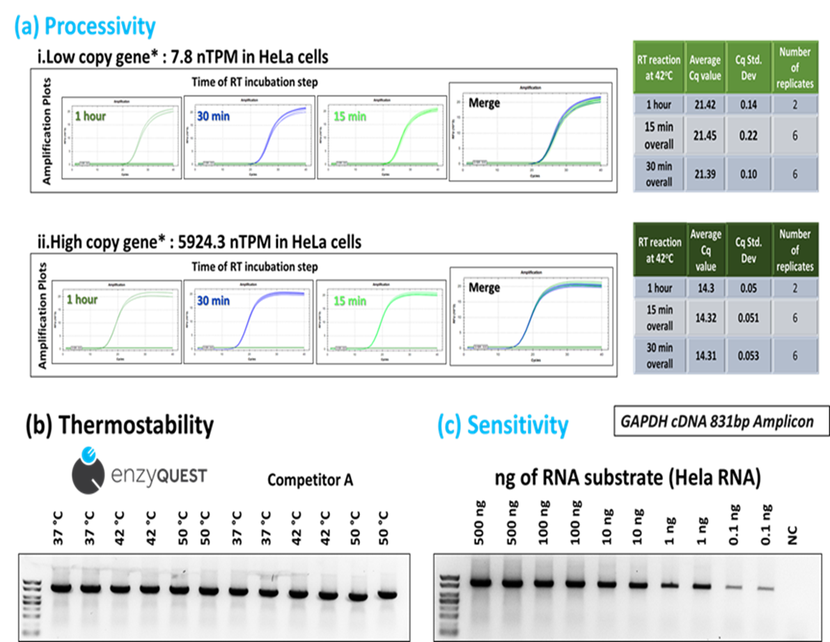 Summarizing - Engineered M-MLV Reverse Transcriptase Basic Kit