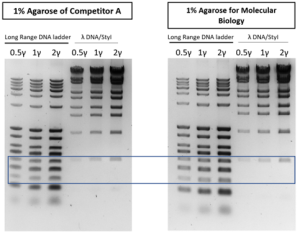 figure 1 - Agarose for Molecular Biology, 500gr
