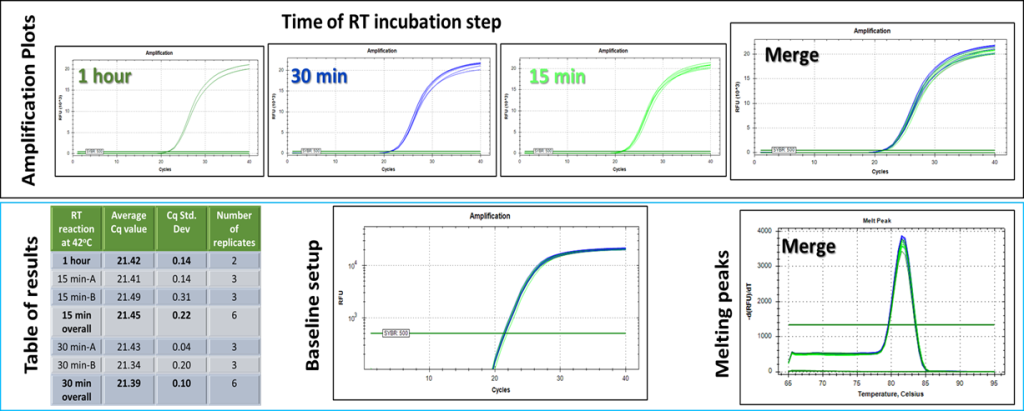 time of RT incubation step - Engineered M-MLV Reverse Transcriptase Basic Kit