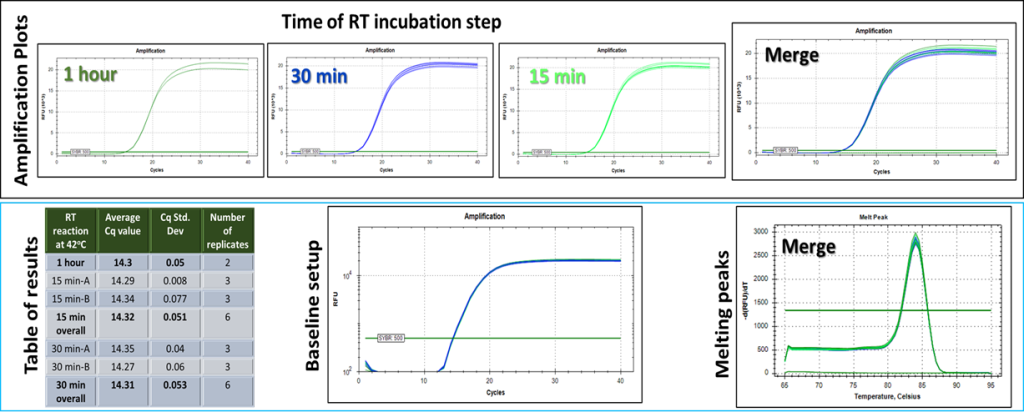 time of RT incubation step b - Engineered M-MLV Reverse Transcriptase Basic Kit