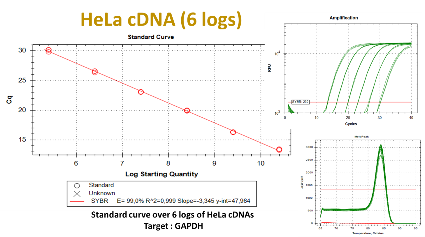 ΕQ 2x qPCR Μaster Μix Green kit, w/o ROX (TM) 5 Hela cDNA - ΕQ 2x qPCR Μaster Μix Green kit, w_o ROXTM