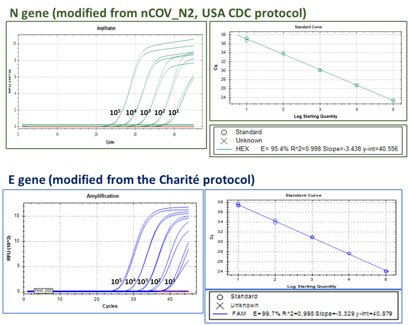 example One Step RT qPCR kit