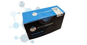 One Step RT qPCR kit