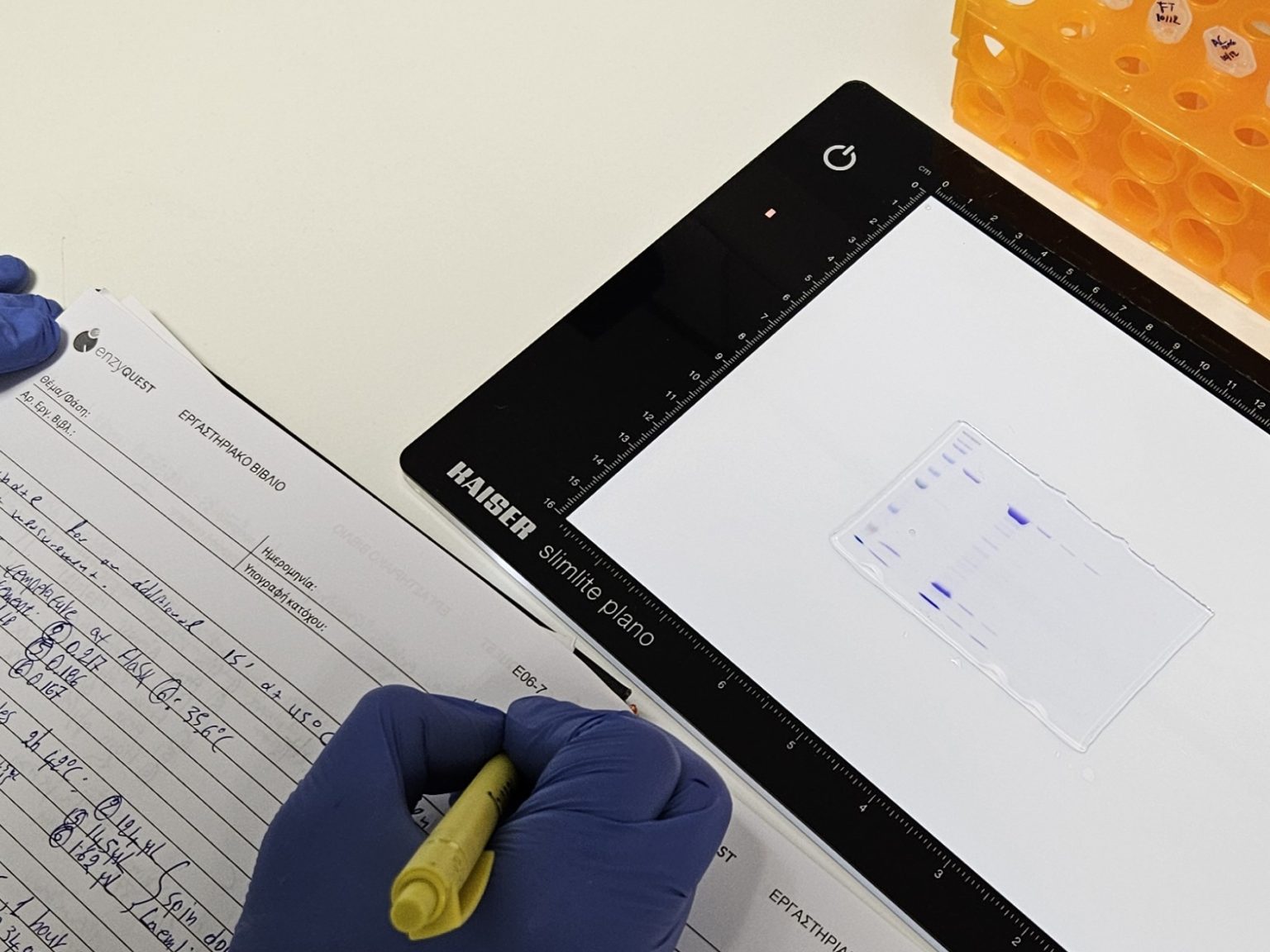 Strategic Programs & Market-Driven Solutions